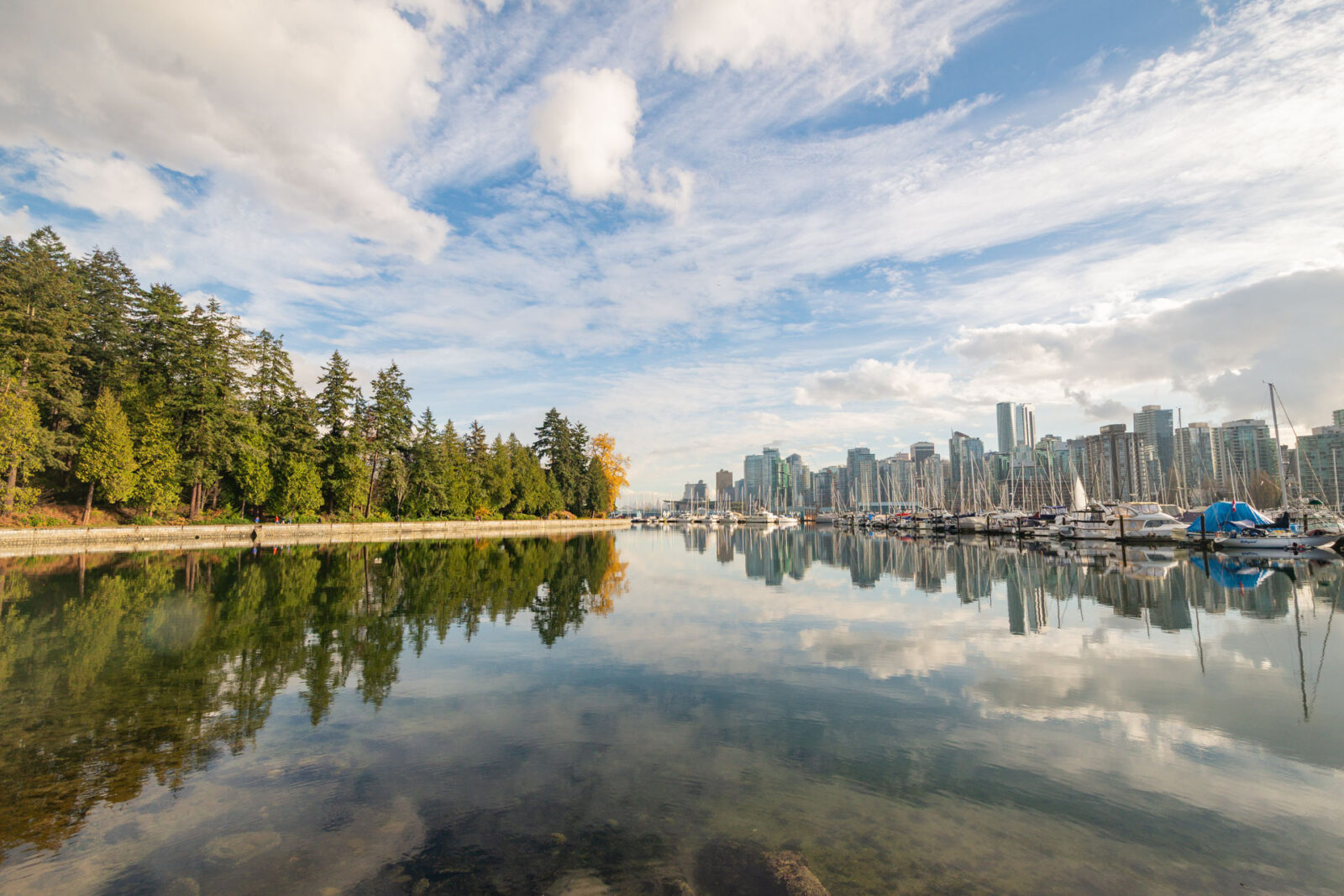 A Vancouver City Skyline view from Burrard Inlet via a path pedestrians go through to enter Stanley Park from the Sea Wall. Crisp clouds and a contrast between the natural and man-made sky scrapers reflected by the body of water.